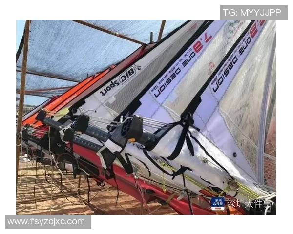 深圳羽毛球队在锦标赛中的技术表现分析与点评